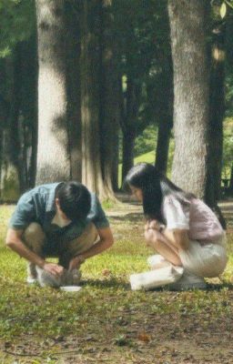 [hide] sơn thịnh ; bạn 'trai' cùng nhà