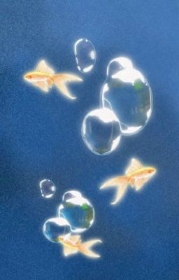 hieugav | 101 cách tán đổ đàn anh khối trên [drop]