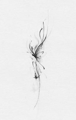 /HiếuQuan/ miracle