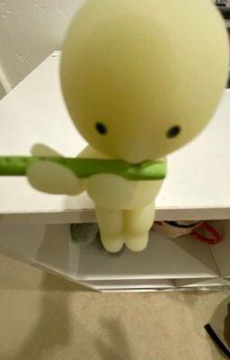 hieuson; giám đốc trần x thư kí nguyễn.