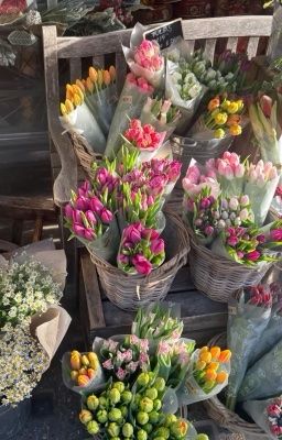 Hoa Là Chị