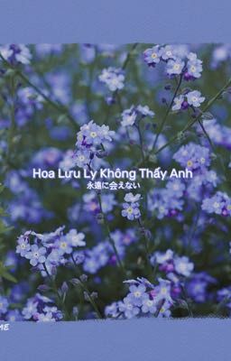 Hoa Lưu Ly Không Thấy Anh [Stray Kids]