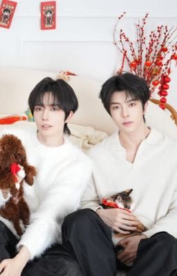 • Hoa Thịnh • Đồng Hành