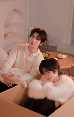 • Hoa Thịnh • Lừa Dối