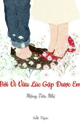 [HOÀN] Bởi Vì Vừa Lúc Gặp Được Em - Mộng Tiêu Nhị