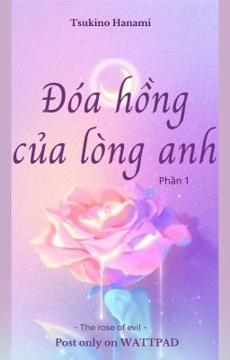 [Hoàn][KookTae] Đóa hồng của lòng anh (Phần 1) - T.S.H.N