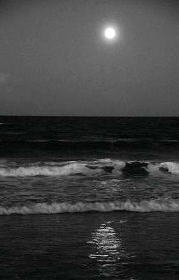 [ Hoàng Khang ] Điên