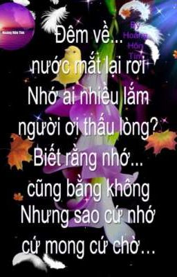 hoàng thích huy à?