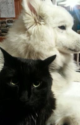 HoàngHuy multiverse [R18]