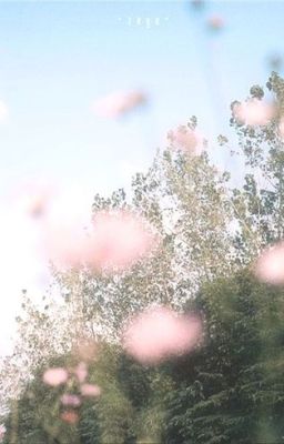 hoanghuy | sim pồ luv.