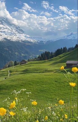 [HoàngKhang]Câu chuyện năm ấy