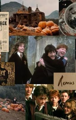 [ Hogwarts ×  Reader ] Sunshine and Rain ᶻ 𝗓 𐰁 .ᐟ