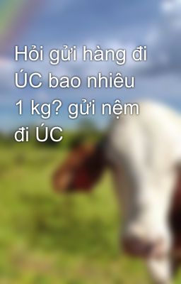 Hỏi gửi hàng đi ÚC bao nhiêu 1 kg? gửi nệm đi ÚC