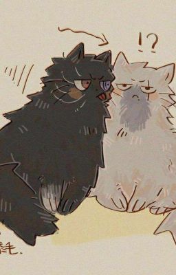 【 Hokage xem ảnh 】 Khai hướng cố hương đoàn tàu