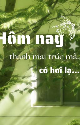 HÔM NAY THANH MAI TRÚC MÃ CÓ HƠI LẠ...
