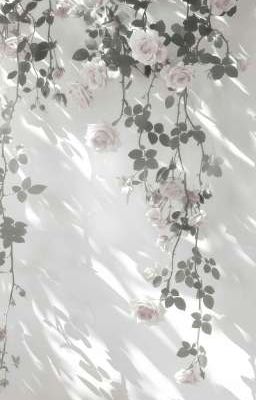 hoonhee - thế cờ đảo chiều