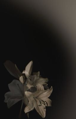 Hoonjames || Écoute chérie