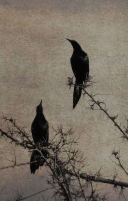 hoonjames | the unhallowed (ongoing)