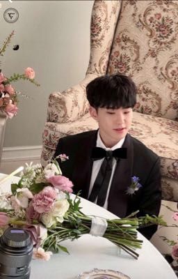 [Hoshi x Y/n] 