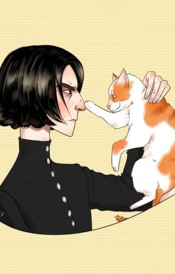 [HP] Cùng ta kết hôn sau, Sev nhận nuôi Harry-Miêu Thố Vương