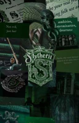 (HP) Một dòng máu, một lời nguyền