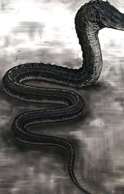 (HP) Sinh Ra Từ Basilisk
