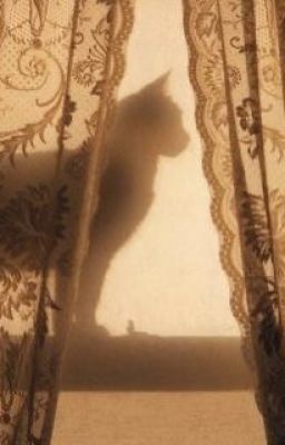 HP + SnF | Ellena - [5]