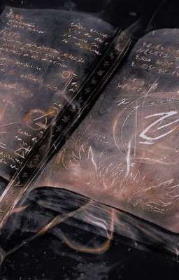 [HP] Trở Về Để Gặp Lại 