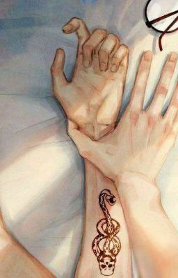 (HPSS - Harry Potter) Lời Nói Đầu Của Sự Khởi Đầu