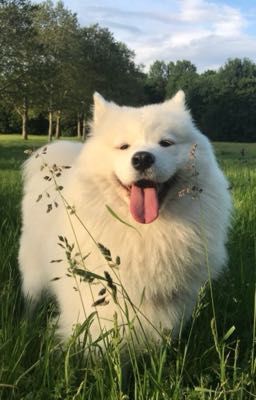 [HSK] Trường nội trú