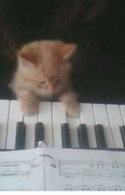 hsr x you; Missing key.