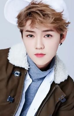 [HunHan] Tiểu ngốc manh