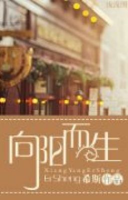 Hướng dương sinh - Tác giả: Hi Tư
