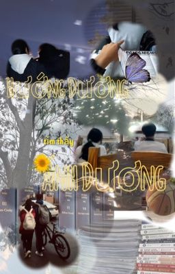 Hướng Dương Tìm Thấy Ánh Dương