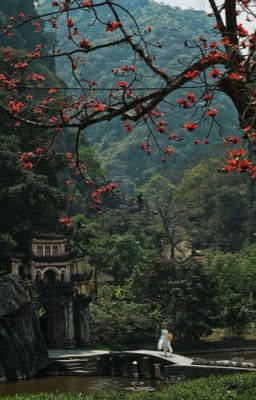[huyhoang] về