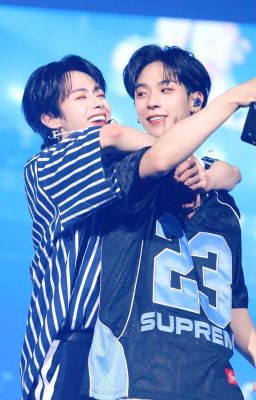 [ HwaBin | JaeBin ] Cáo nhỏ ôm trọn đoá Hướng Dương