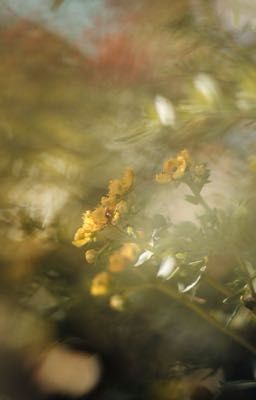 [hyunmin/sungseung] - into you