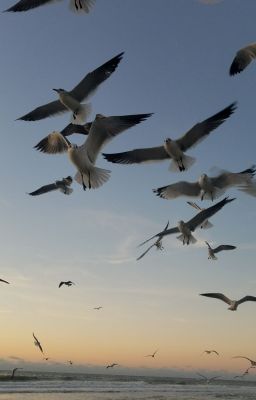 I-FLY ( Touch the sky)