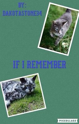 If I Remember