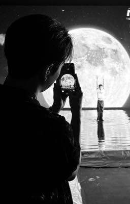 jaesahi | chasing wildflowers