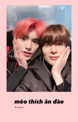 jaeyong | mèo thích ăn đào