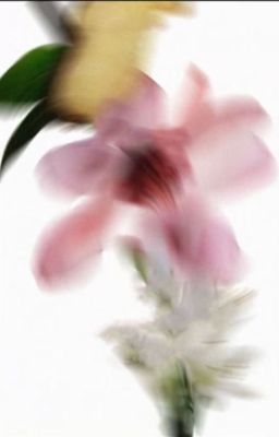 jameshoon ;; rapunzel ;; trans