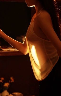 JAMESTIN | gối gấm