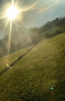 [Jaysolei x Cody] [ATSH2] nơi tình yêu bắt đầu 