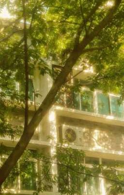 [Jeonglee] Mòn Mỏi