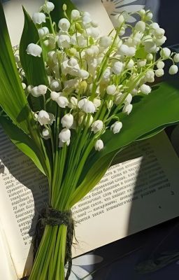 [JeyLei] Dịu dàng