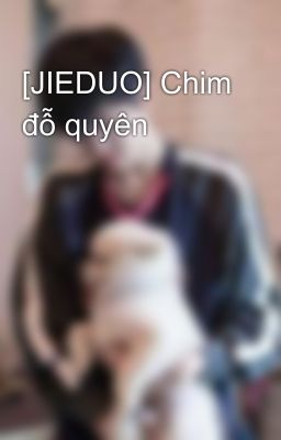 [JIEDUO] Chim đỗ quyên