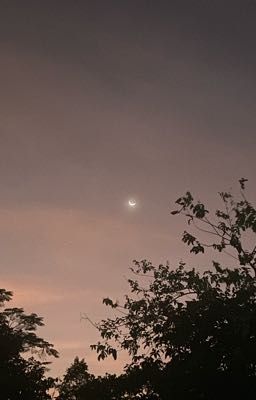 jiminselle • promise