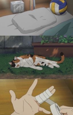 jsolnicky ; netbound scars 