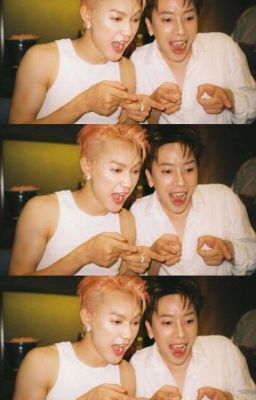 [JSolNicky] Sơn , Hào và Mèo